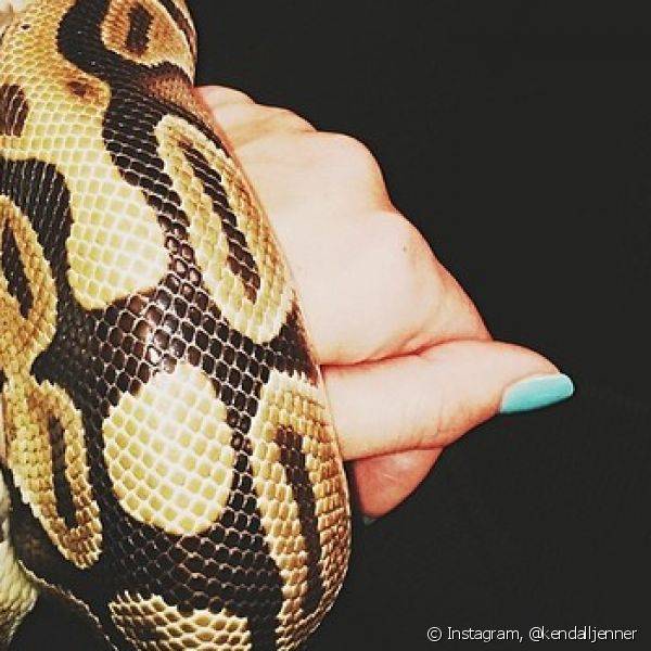 Em um de seus registros do Instagram, a modelo mostrou uam cobra enrolada em suas mãos que estavam pintadas com um tom azul piscina